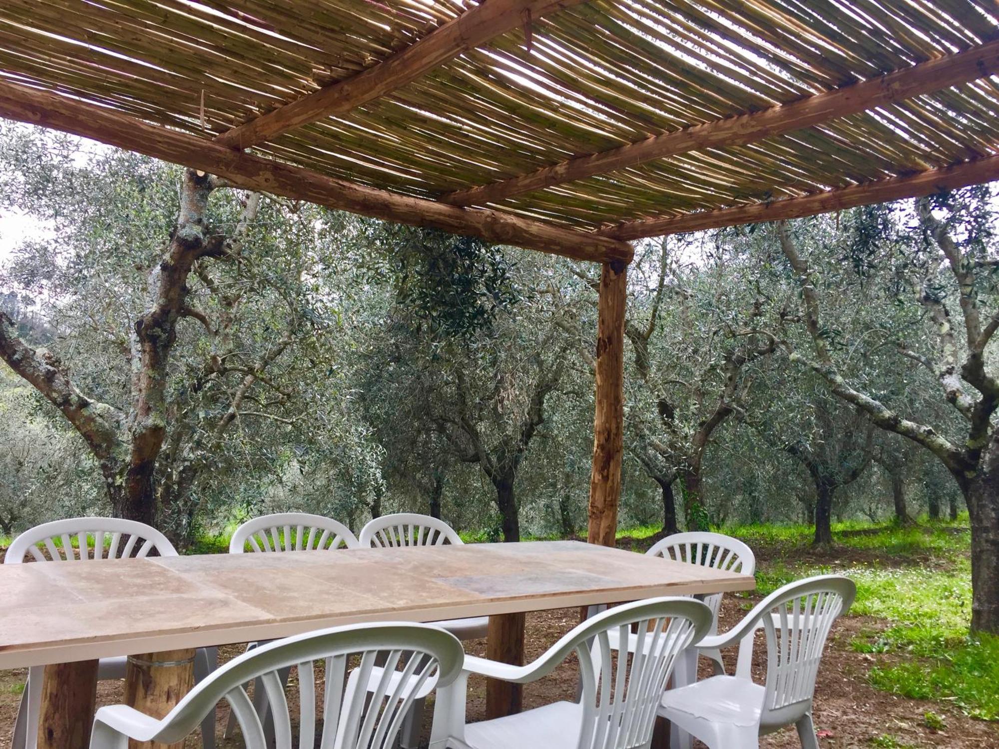 Agriturismo Fattoria Celle Figline Valdarno Δωμάτιο φωτογραφία